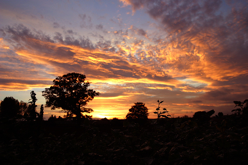 North Oxfordshire 